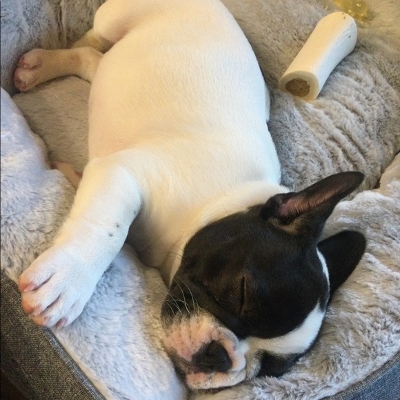 Meet your Posher, Dani ๐พ - Picture 10 of 16